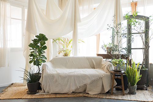 Green tree sofa